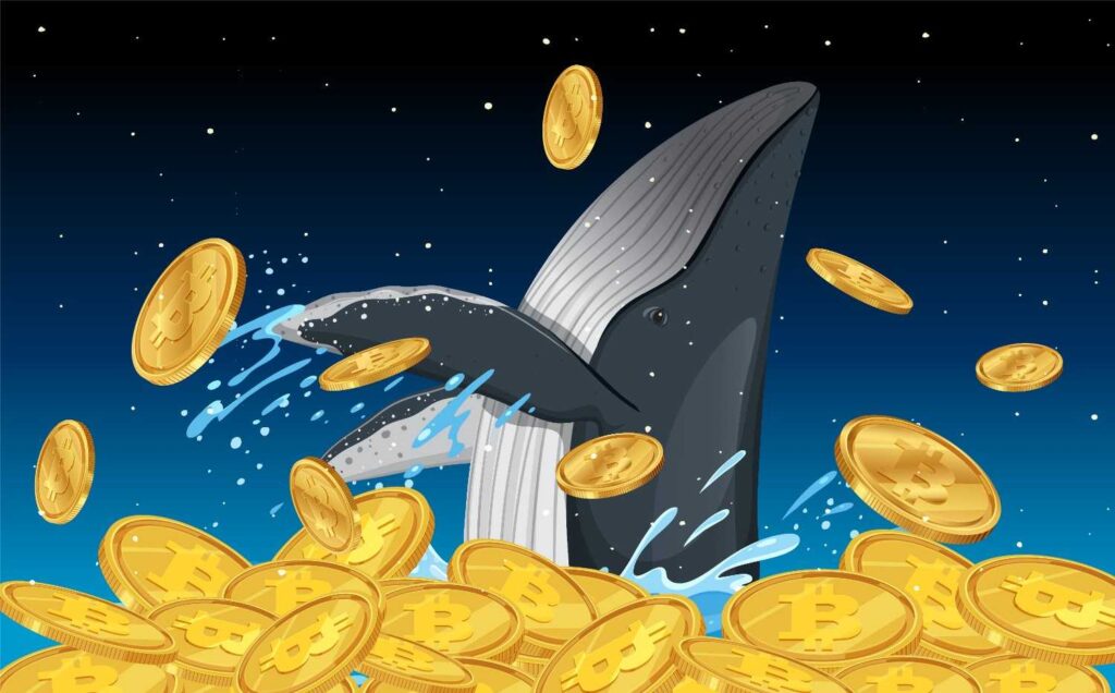 crypto30x.com Ocean