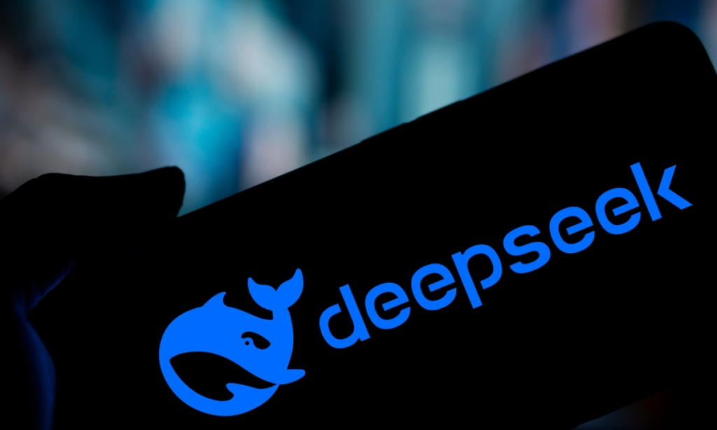 deepseekplay com